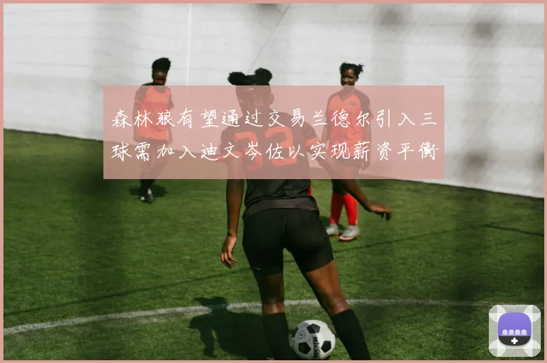 森林狼有望通过交易兰德尔引入三球需加入迪文岑佐以实现薪资平衡