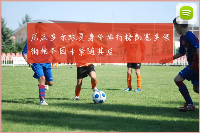 厄瓜多尔球员身价排行榜凯塞多领衔帕乔因卡紧随其后