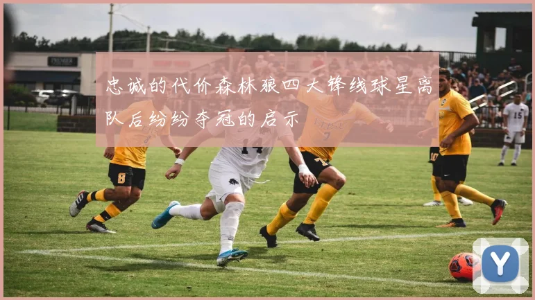 忠诚的代价森林狼四大锋线球星离队后纷纷夺冠的启示